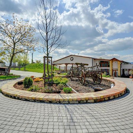 Penzion Tokaj Macik Winery B&B Mala Trna Εξωτερικό φωτογραφία