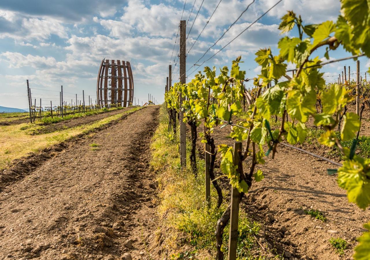 Penzion Tokaj Macik Winery B&B Mala Trna Εξωτερικό φωτογραφία