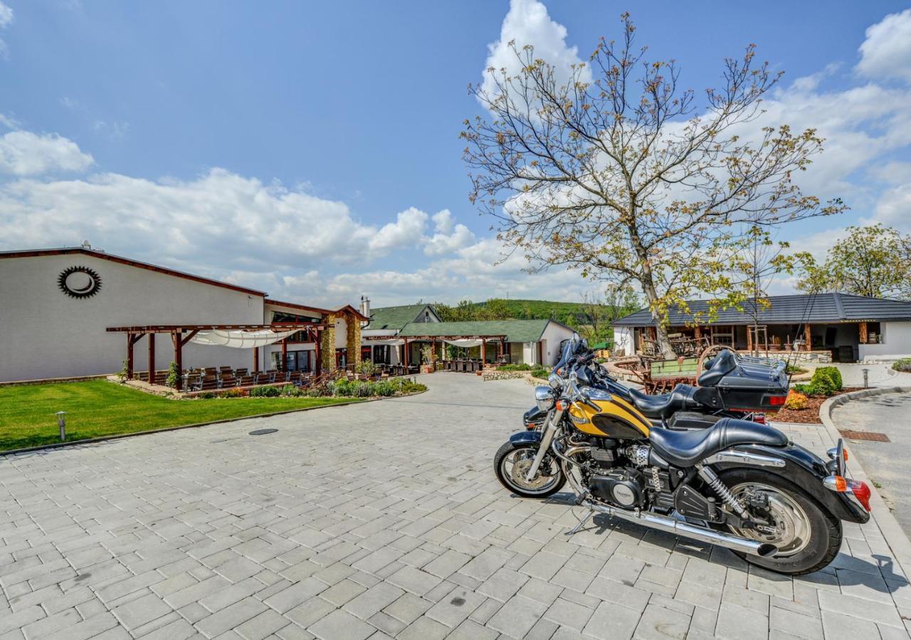 Penzion Tokaj Macik Winery B&B Mala Trna Εξωτερικό φωτογραφία