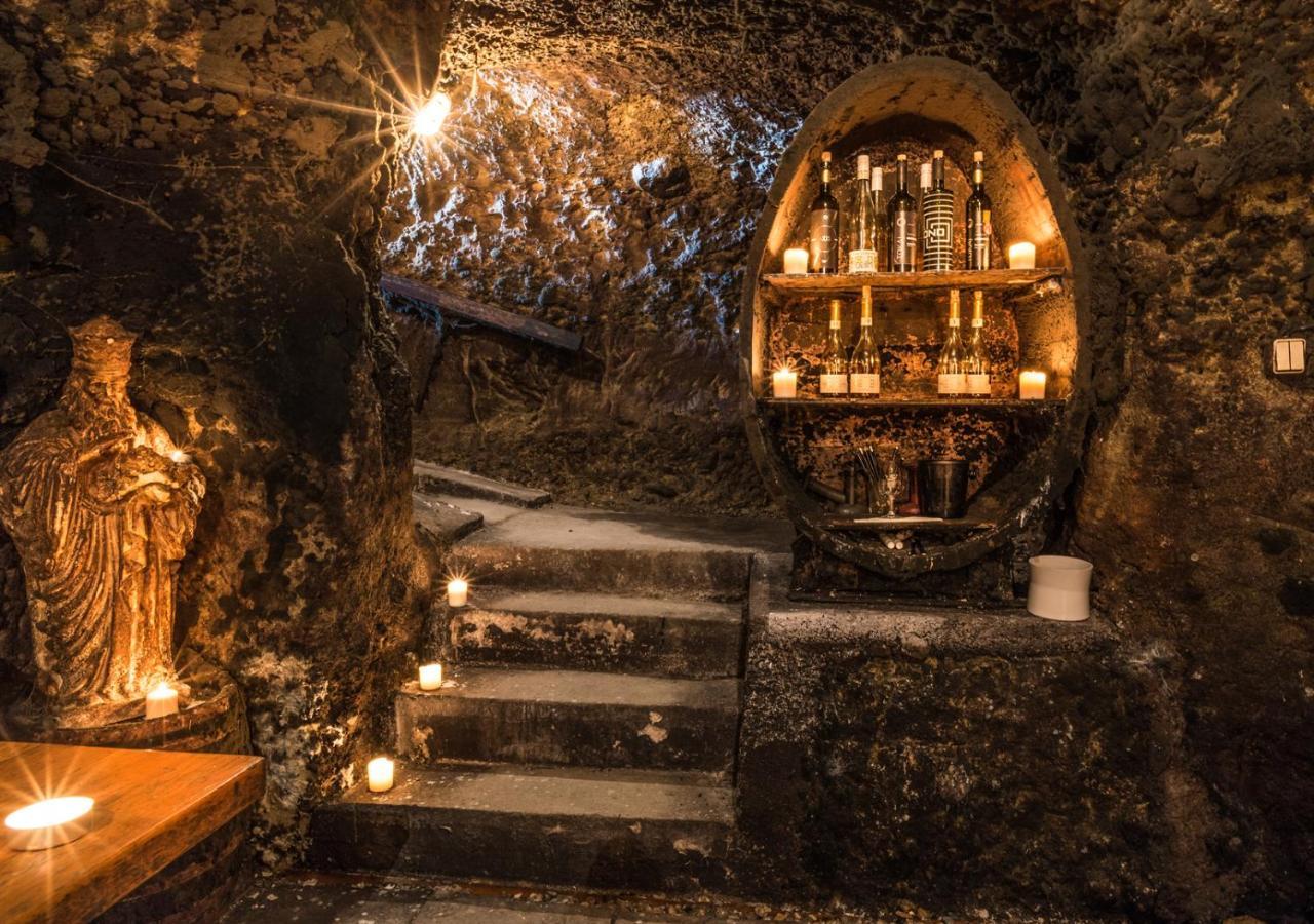 Penzion Tokaj Macik Winery B&B Mala Trna Εξωτερικό φωτογραφία