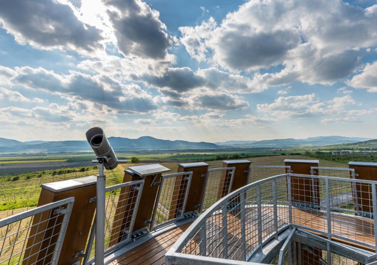 Penzion Tokaj Macik Winery B&B Mala Trna Εξωτερικό φωτογραφία