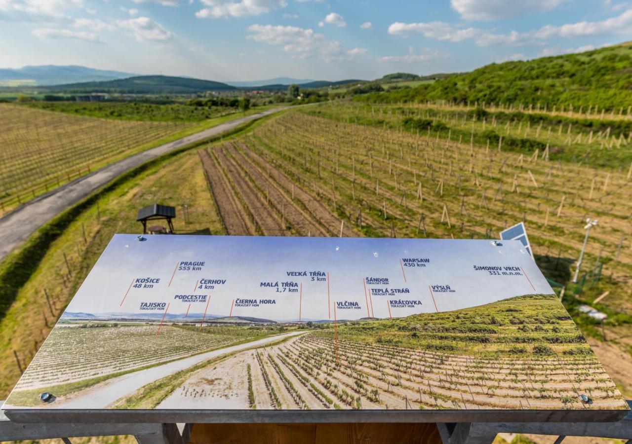 Penzion Tokaj Macik Winery B&B Mala Trna Εξωτερικό φωτογραφία