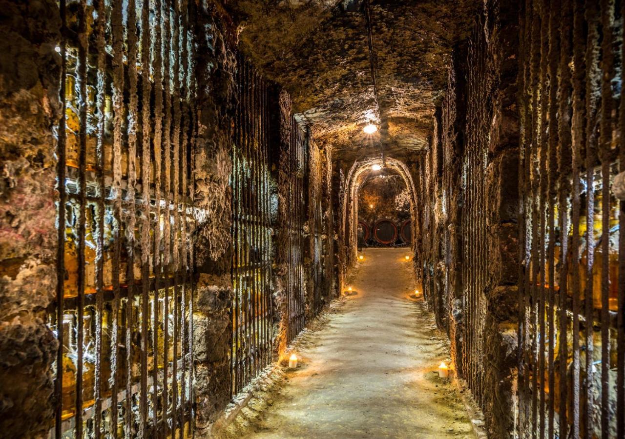 Penzion Tokaj Macik Winery B&B Mala Trna Εξωτερικό φωτογραφία
