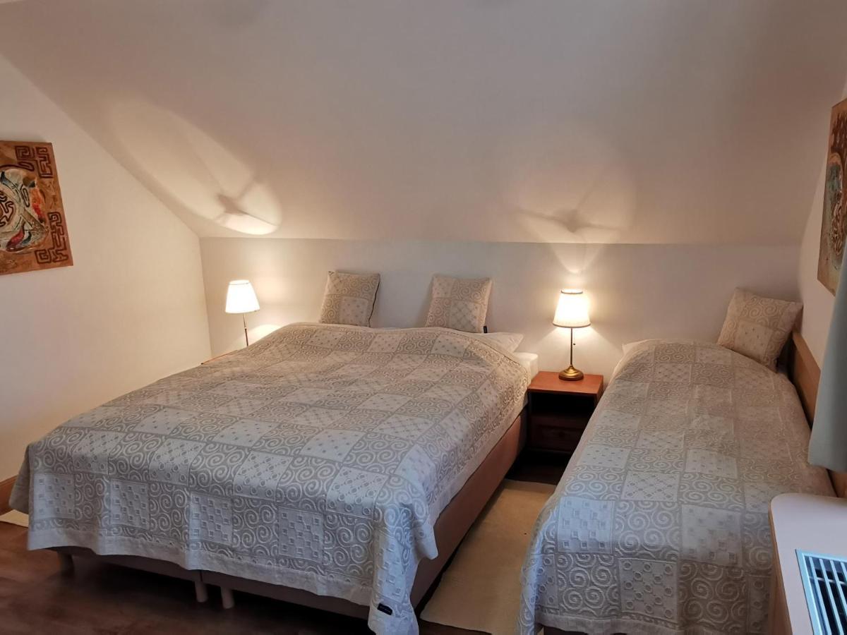 Penzion Tokaj Macik Winery B&B Mala Trna Εξωτερικό φωτογραφία